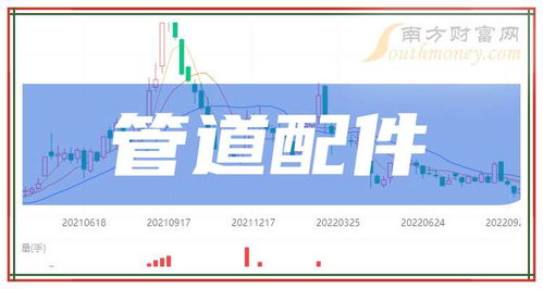 2024年9月21日管道配件板塊主要上市公司盤點 計算機軟硬件技術開發與銷售的新機遇